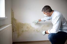 League City, TX Mold Removal Company